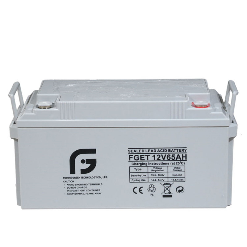 12V 65ah Valve Regulated Lead Acid Storage Battery for Lighting