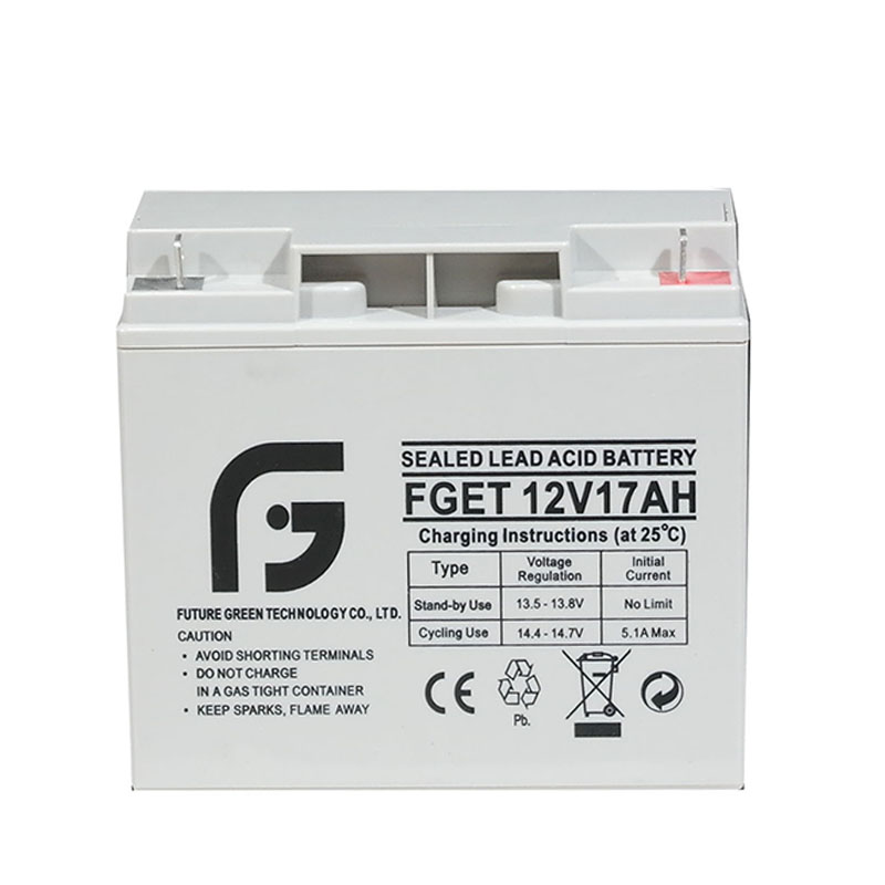 12V 15AH 10 Years Life Span Floating Charge Lead Acid Battery
