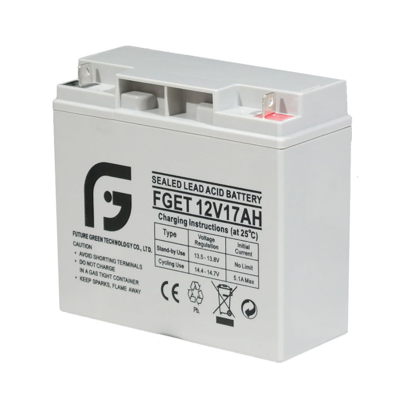 12V 17AH 10 Years Life Span Floating Charge Lead Acid Battery