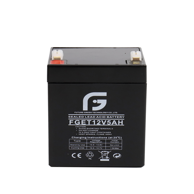 12V 5.5AH Power Supply UPS Rechargeable Battery